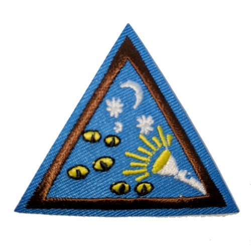 Image of GSSA Bump in the Night Badge